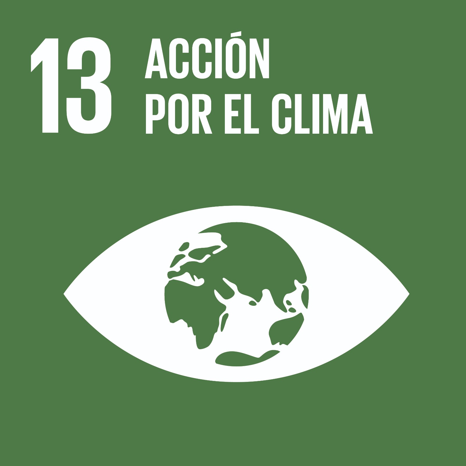 ODS 13 Acción por el Clima en el CEIP Rosario Pérez